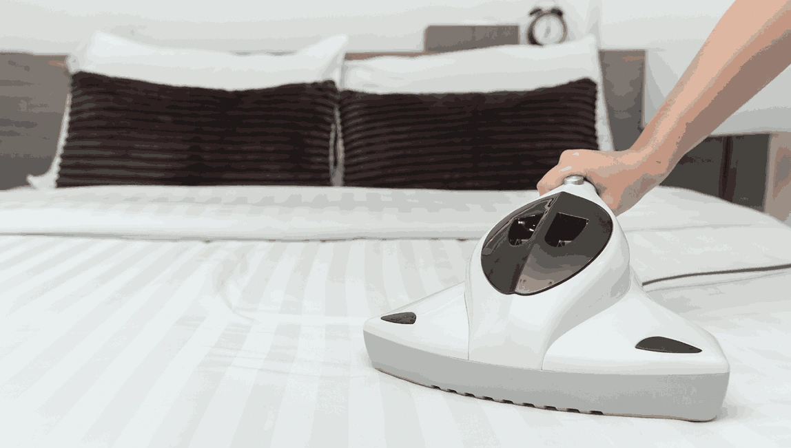 Professional Mattress Cleaning Newport